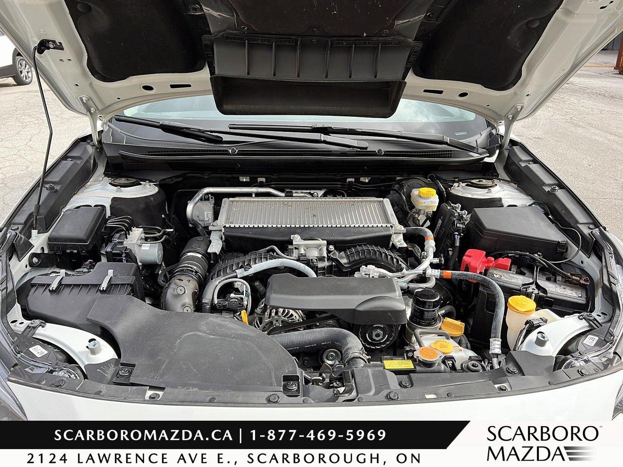 2024 Subaru Outback Premier XT Photo