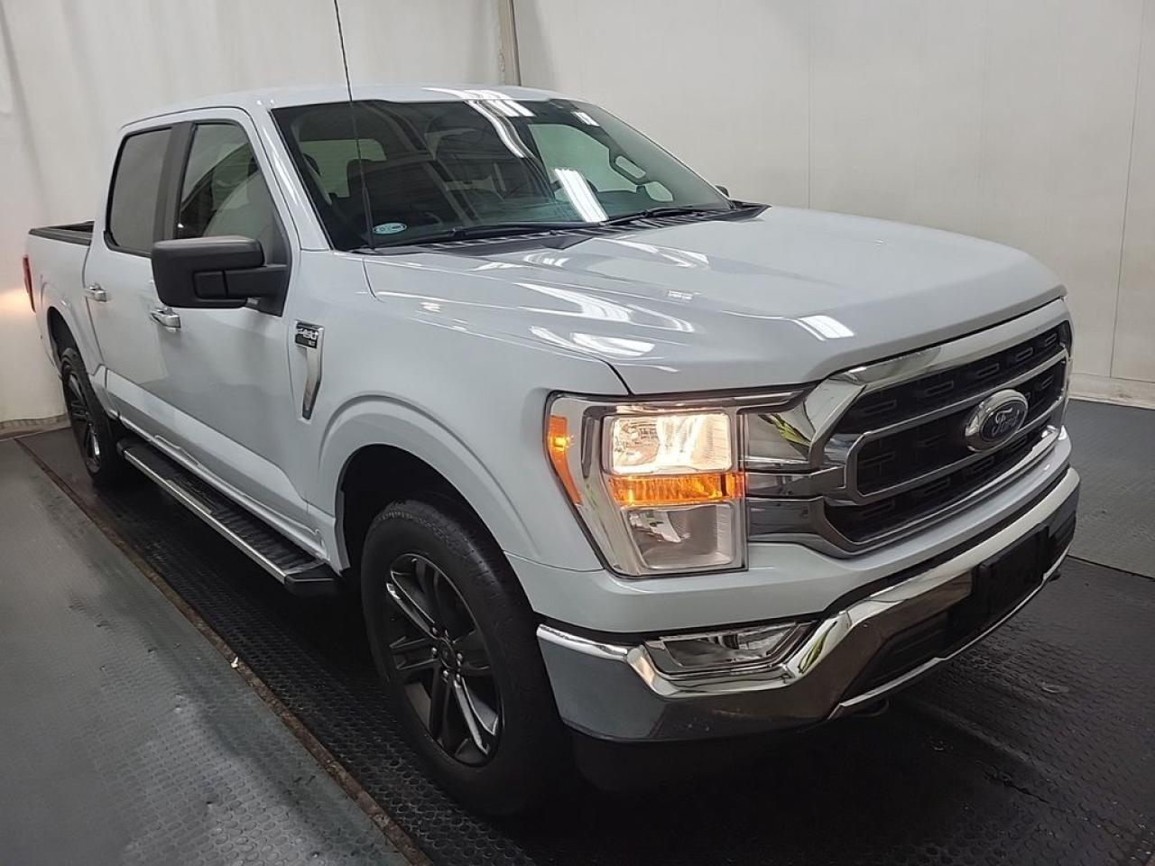 2022 Ford F-150 XLT Photo