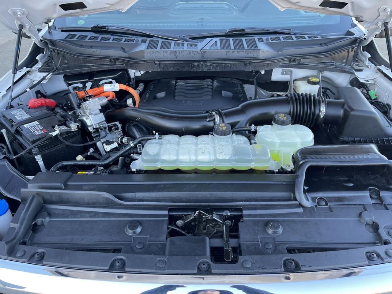 2021 Ford F-150 King Ranch Photo5