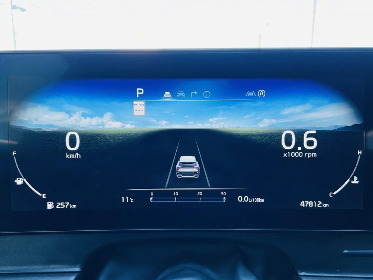 2024 Kia Sportage X-line Limited Photo