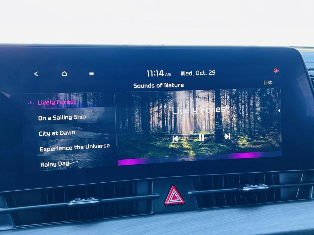 2024 Kia Sportage X-line Limited Photo