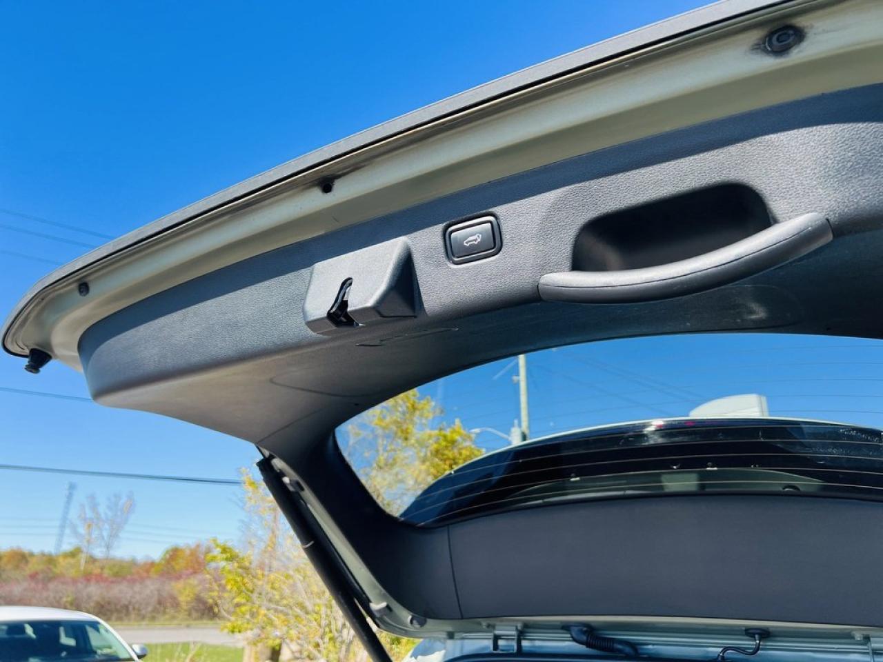 2024 Kia Sportage X-line Limited Photo