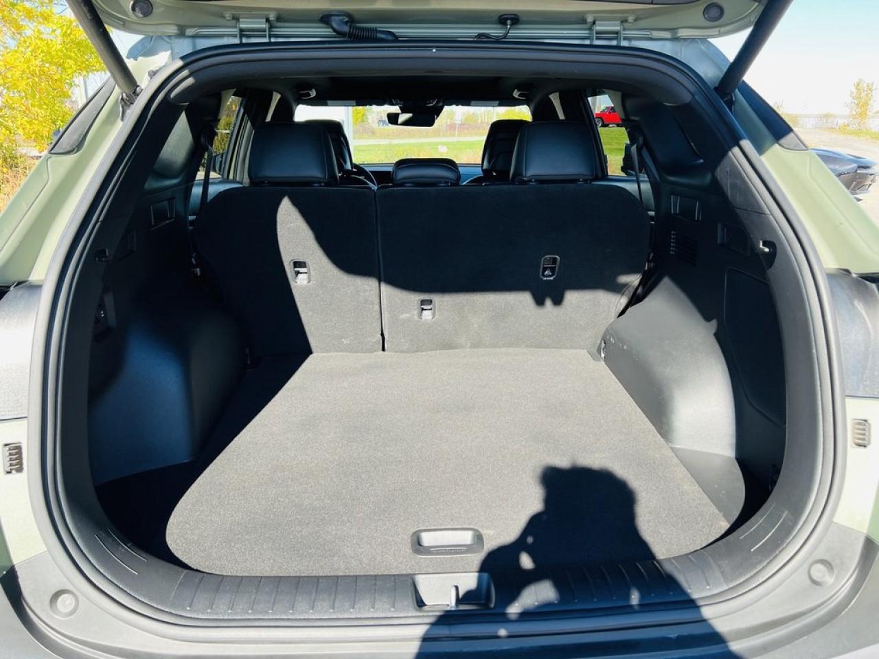 2024 Kia Sportage X-line Limited Photo