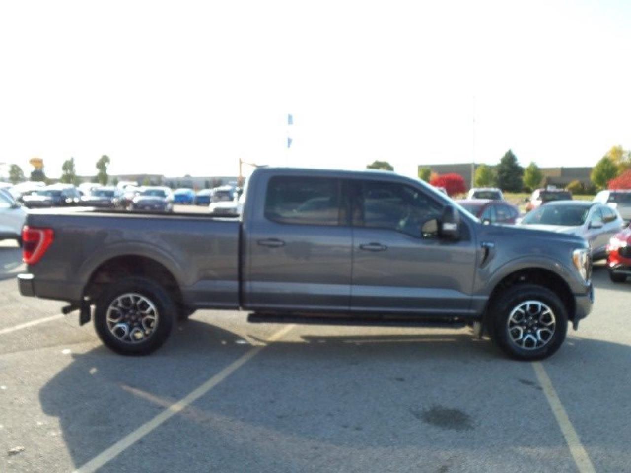 2023 Ford F-150 XLT Photo3