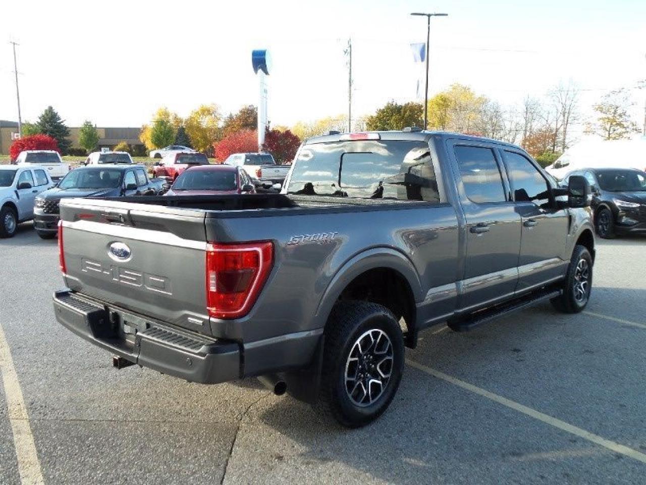 2023 Ford F-150 XLT Photo4