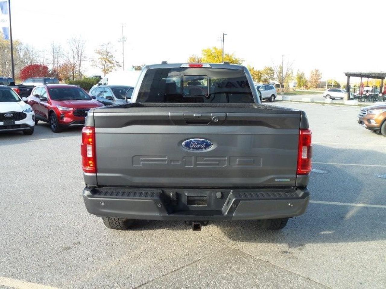 2023 Ford F-150 XLT Photo5