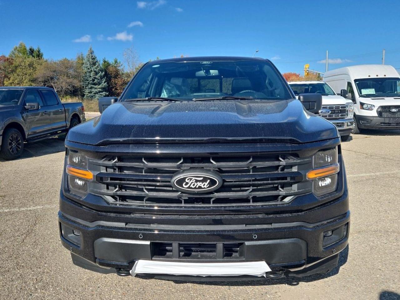 2025 Ford F-150 XLT Photo1
