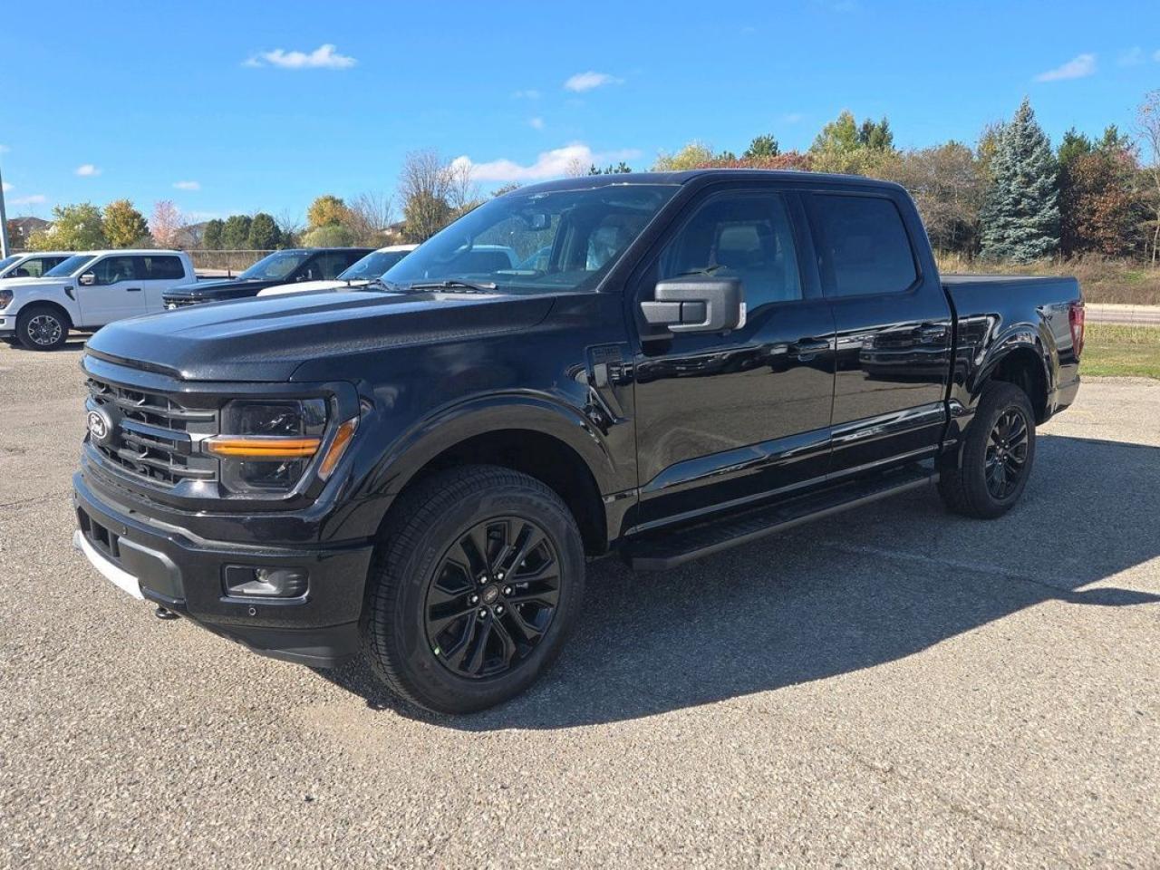 New 2025 Ford F-150 XLT for sale in Stratford, ON