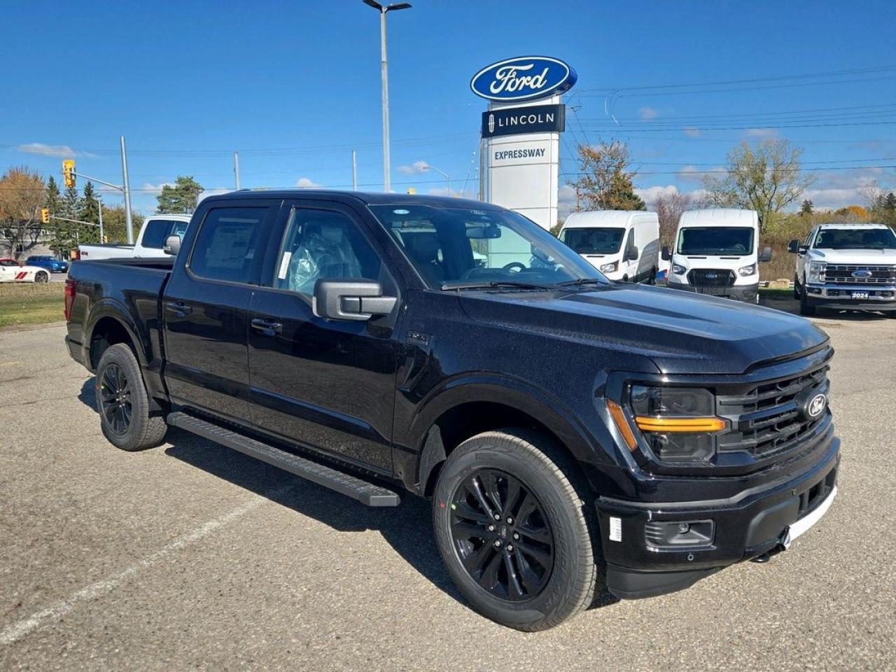 2025 Ford F-150 XLT Photo5