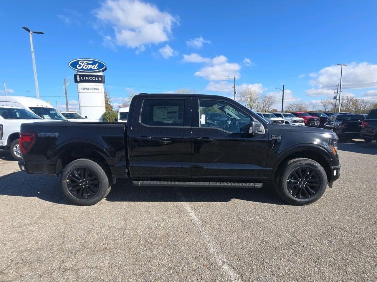 2025 Ford F-150 XLT Photo3