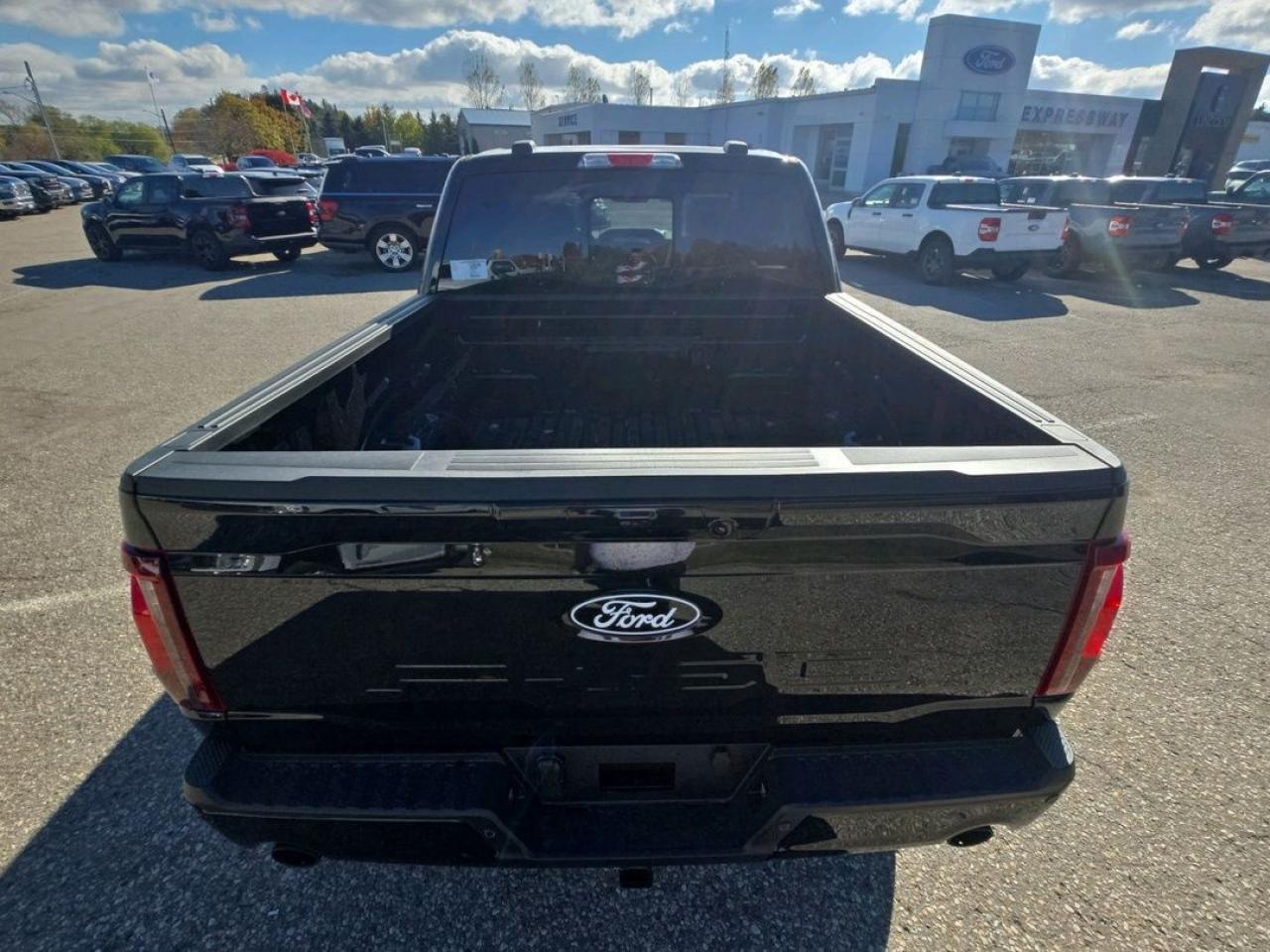 2025 Ford F-150 XLT Photo5