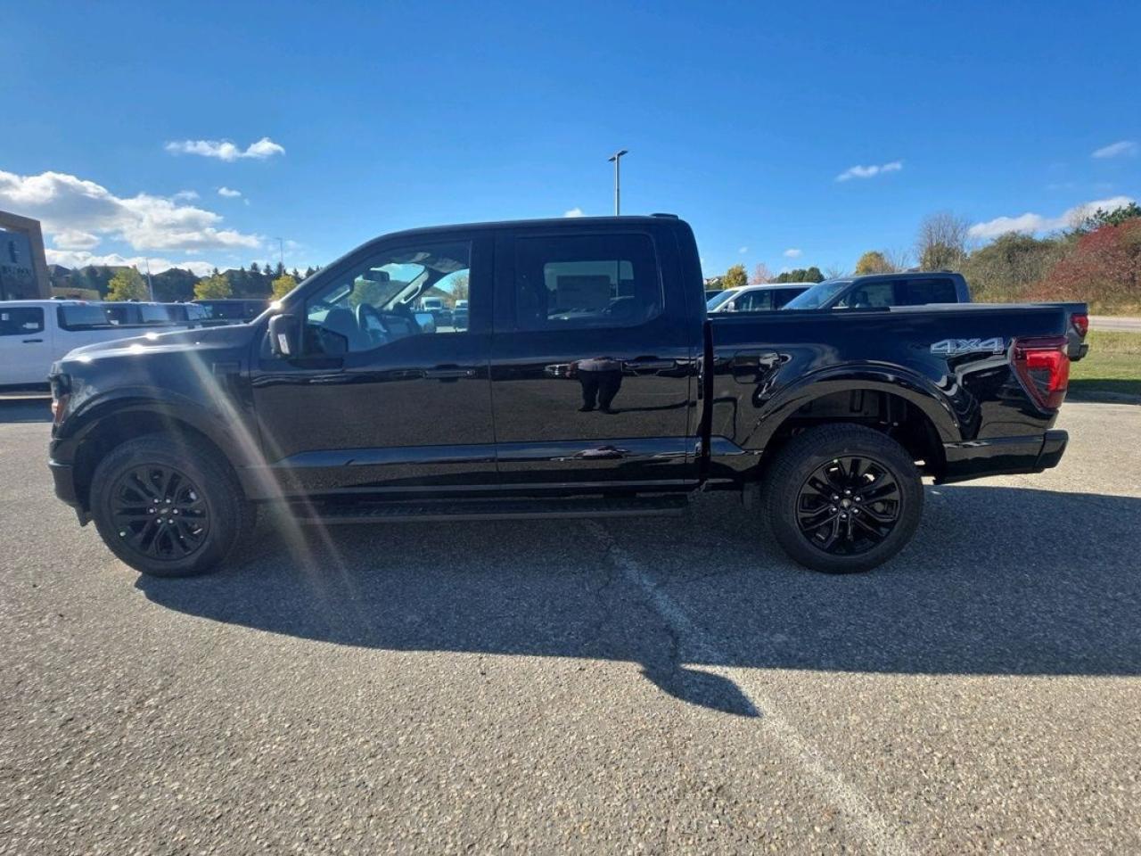 2025 Ford F-150 XLT Photo5