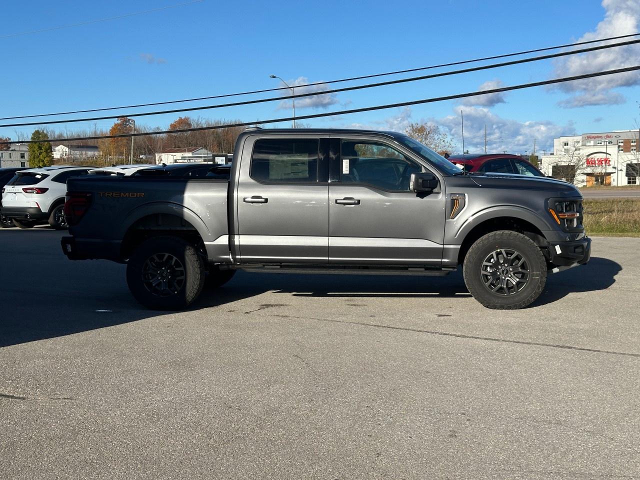 2025 Ford F-150 Tremor 4WD SuperCrew 5.5' Box Photo