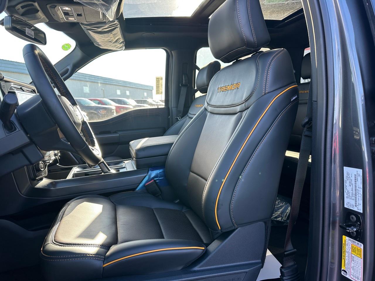 2025 Ford F-150 Tremor 4WD SuperCrew 5.5' Box Photo