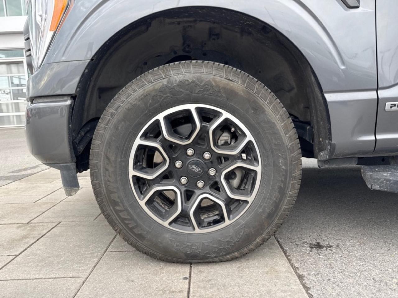 2023 Ford F-150 XLT  - Sunroof Photo