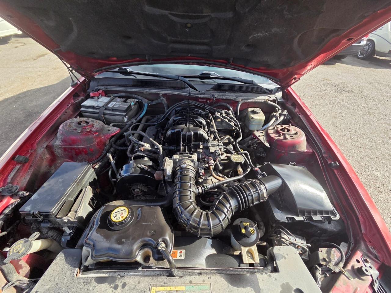 2005 Ford Mustang  - Photo #10