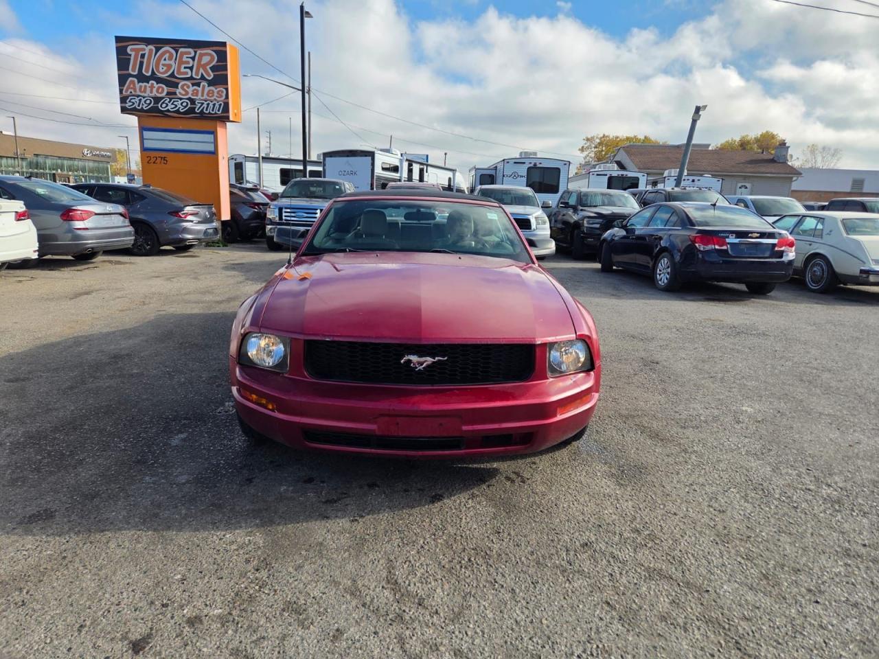 2005 Ford Mustang  - Photo #8
