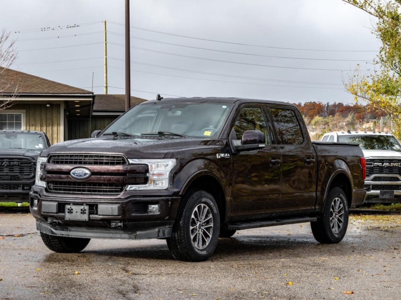 2019 Ford F-150 Lariat Photo