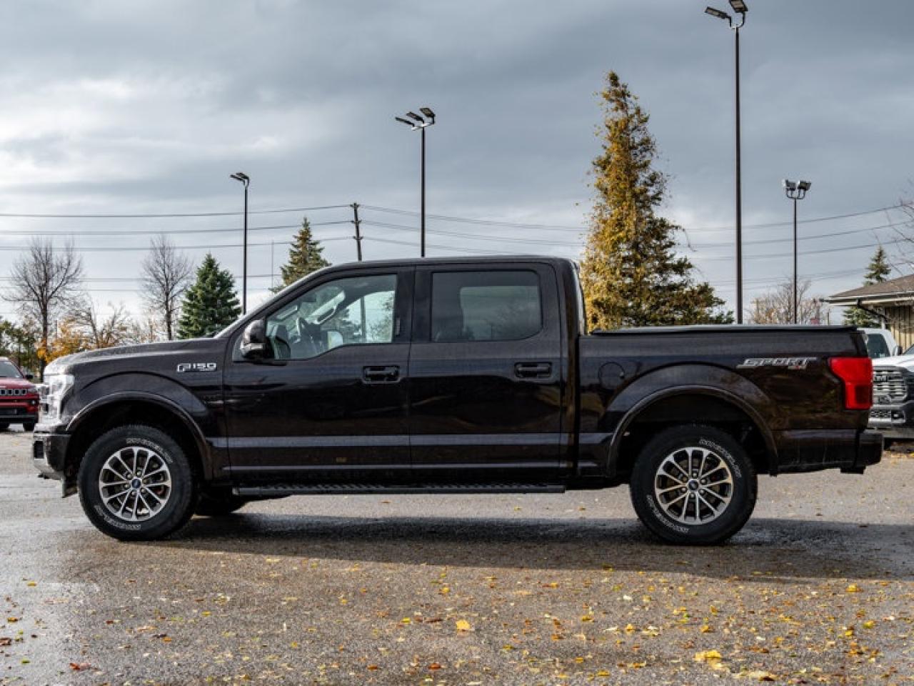 2019 Ford F-150 Lariat Photo4
