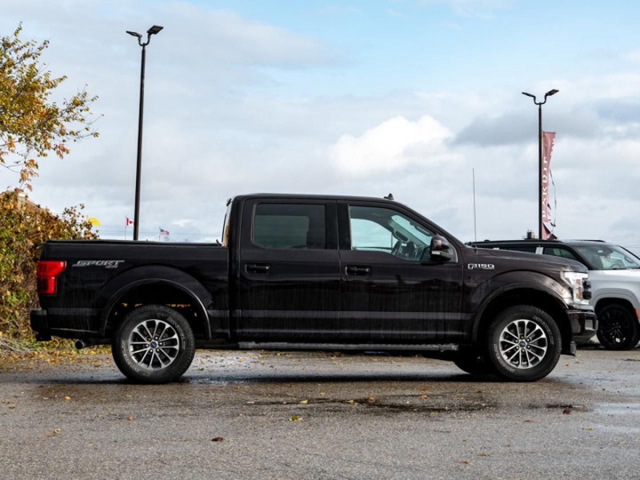 2019 Ford F-150 Lariat Photo