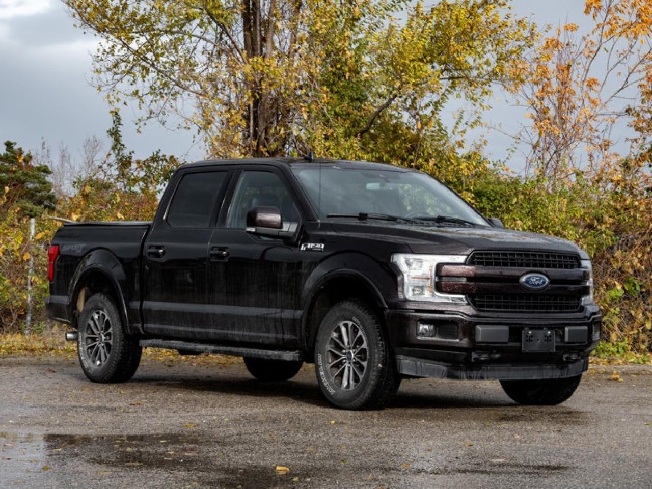 2019 Ford F-150 Lariat Photo