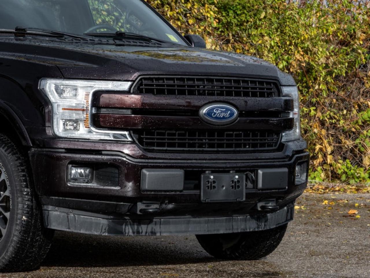 2019 Ford F-150 Lariat Photo
