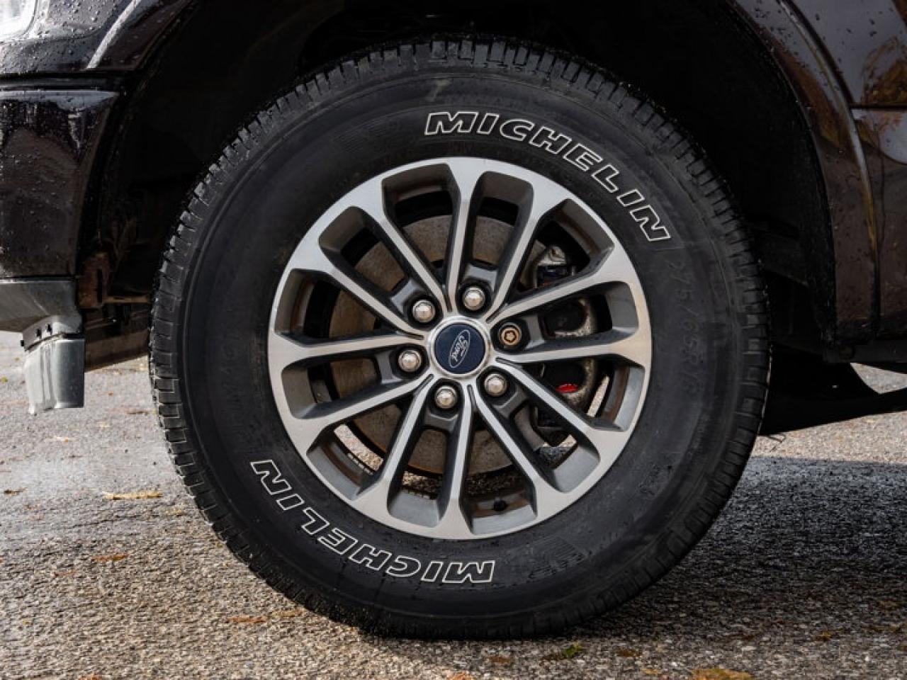 2019 Ford F-150 Lariat Photo