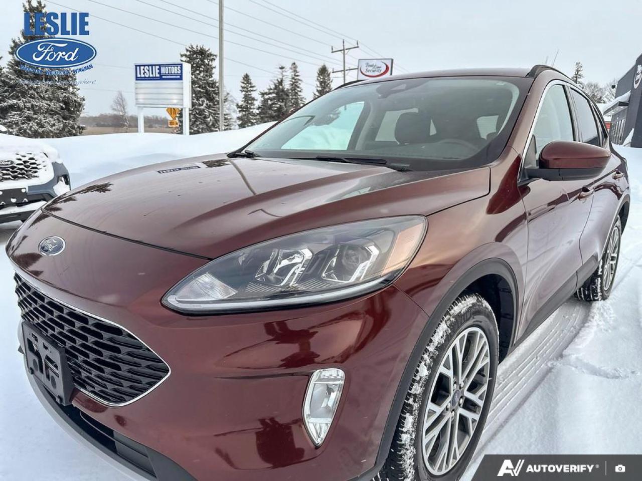 2021 Ford Escape SEL AWD Photo