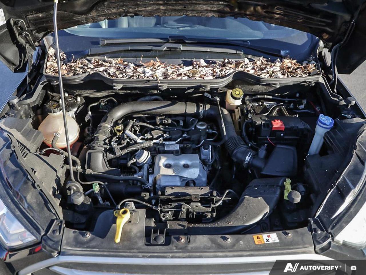 2018 Ford EcoSport SE Photo