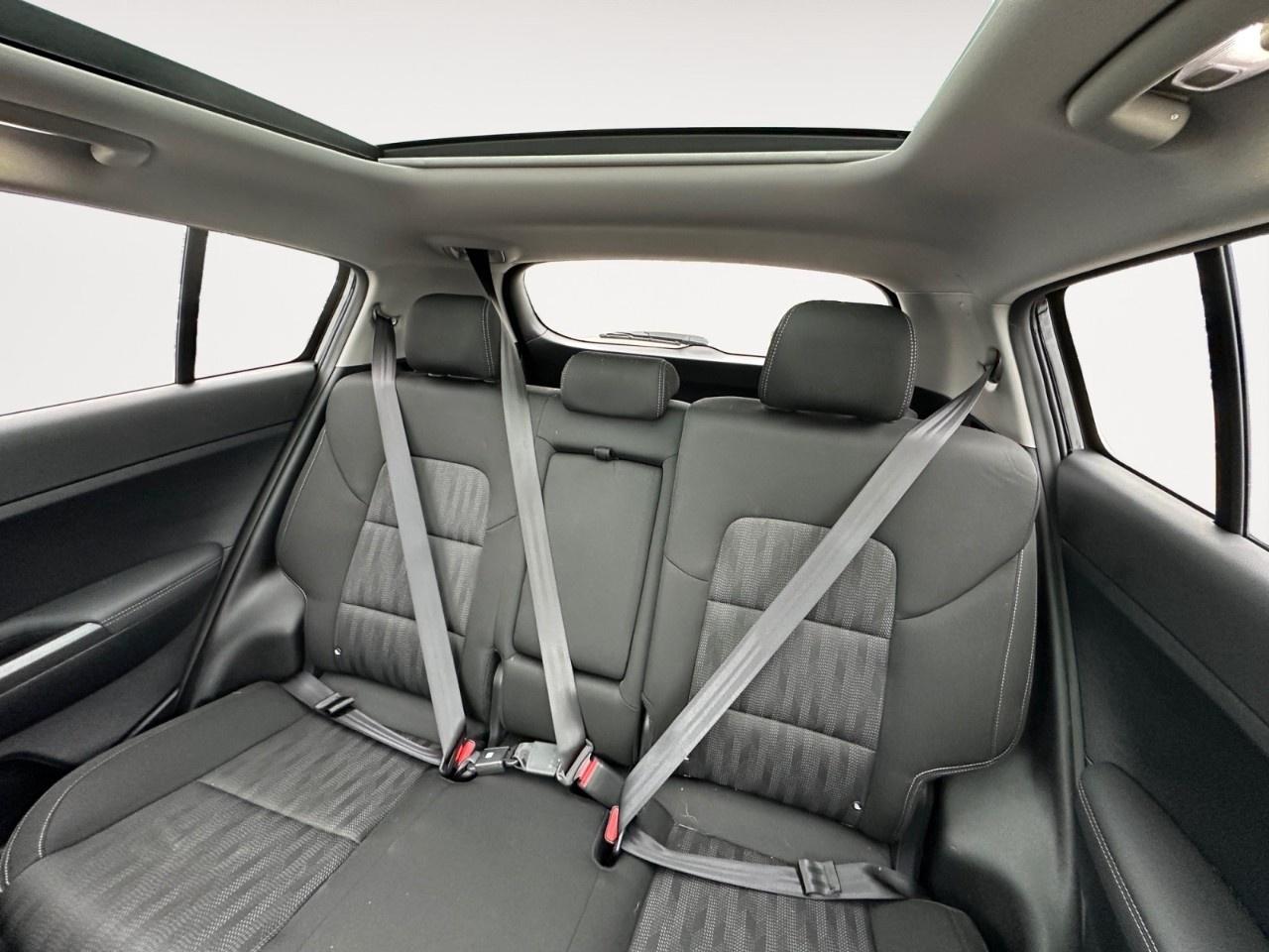 2022 Kia Sportage EX S AWD Photo