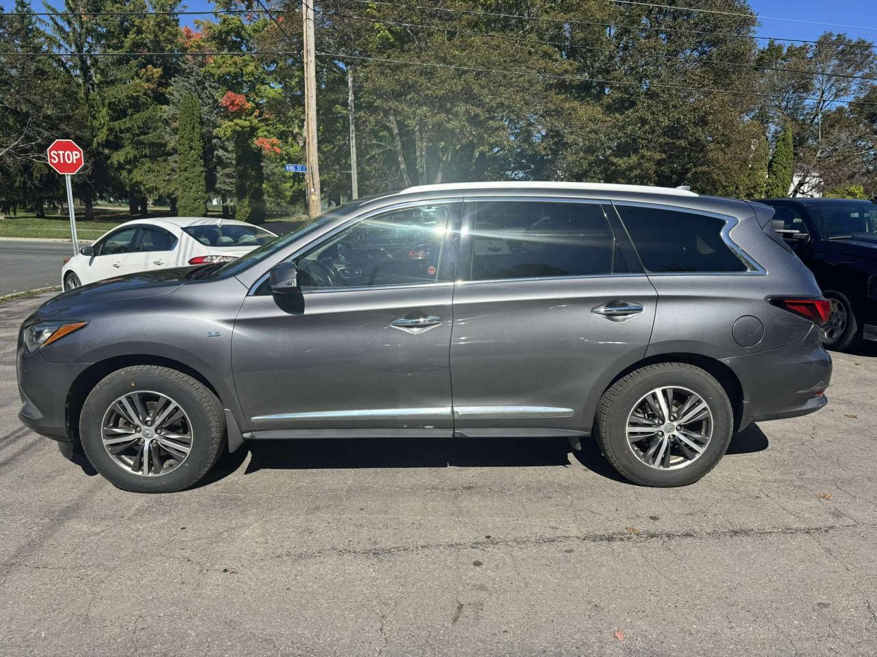 2017 Infiniti QX60  - Photo #6