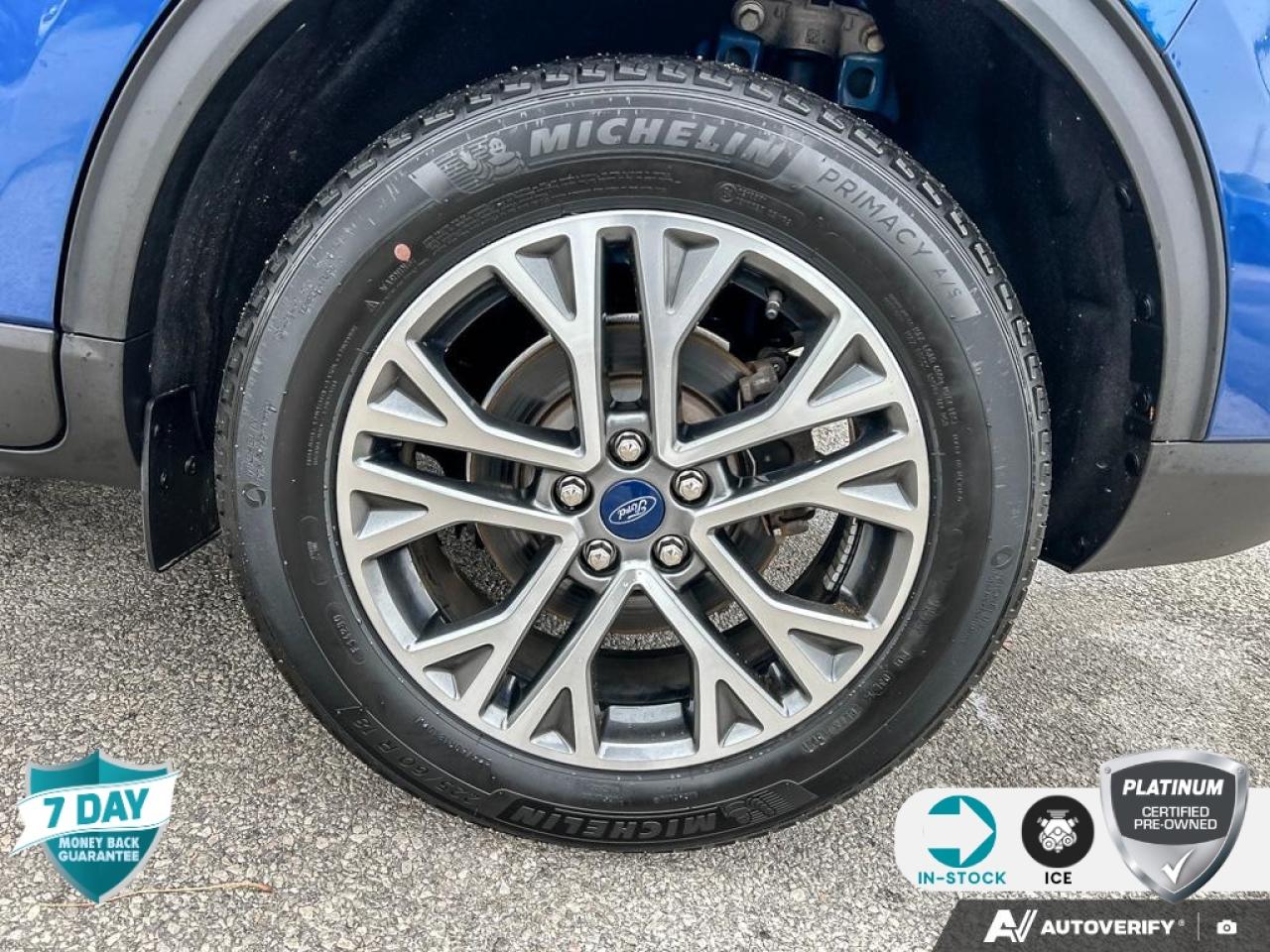 2022 Ford Escape SEL 301A | ACCIDENT FREE | ONE OWNER | BOUGHT/SVC'D HE Photo