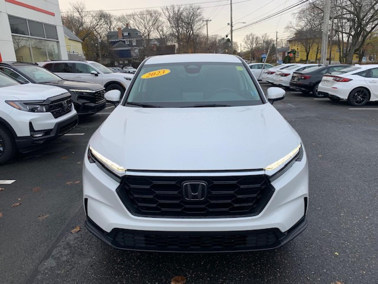 2023 Honda CR-V CR-V LX-B 4 WD Photo2