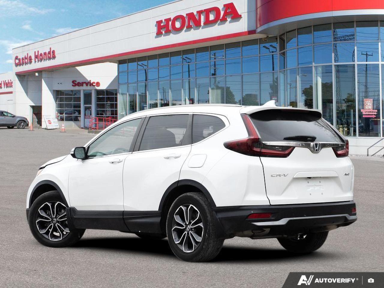2020 Honda CR-V  Photo
