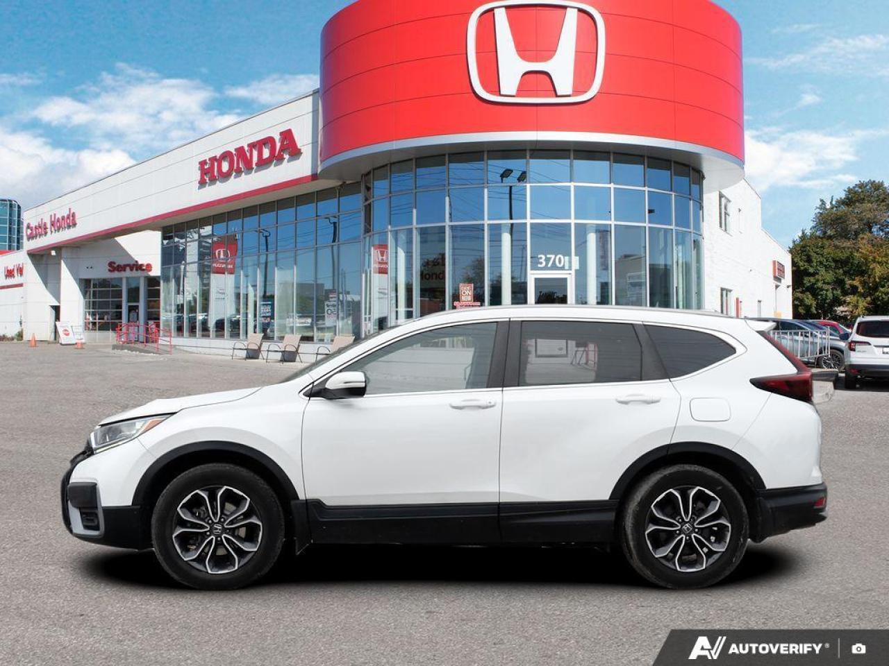 2020 Honda CR-V  Photo