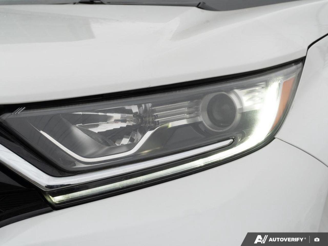 2020 Honda CR-V  Photo