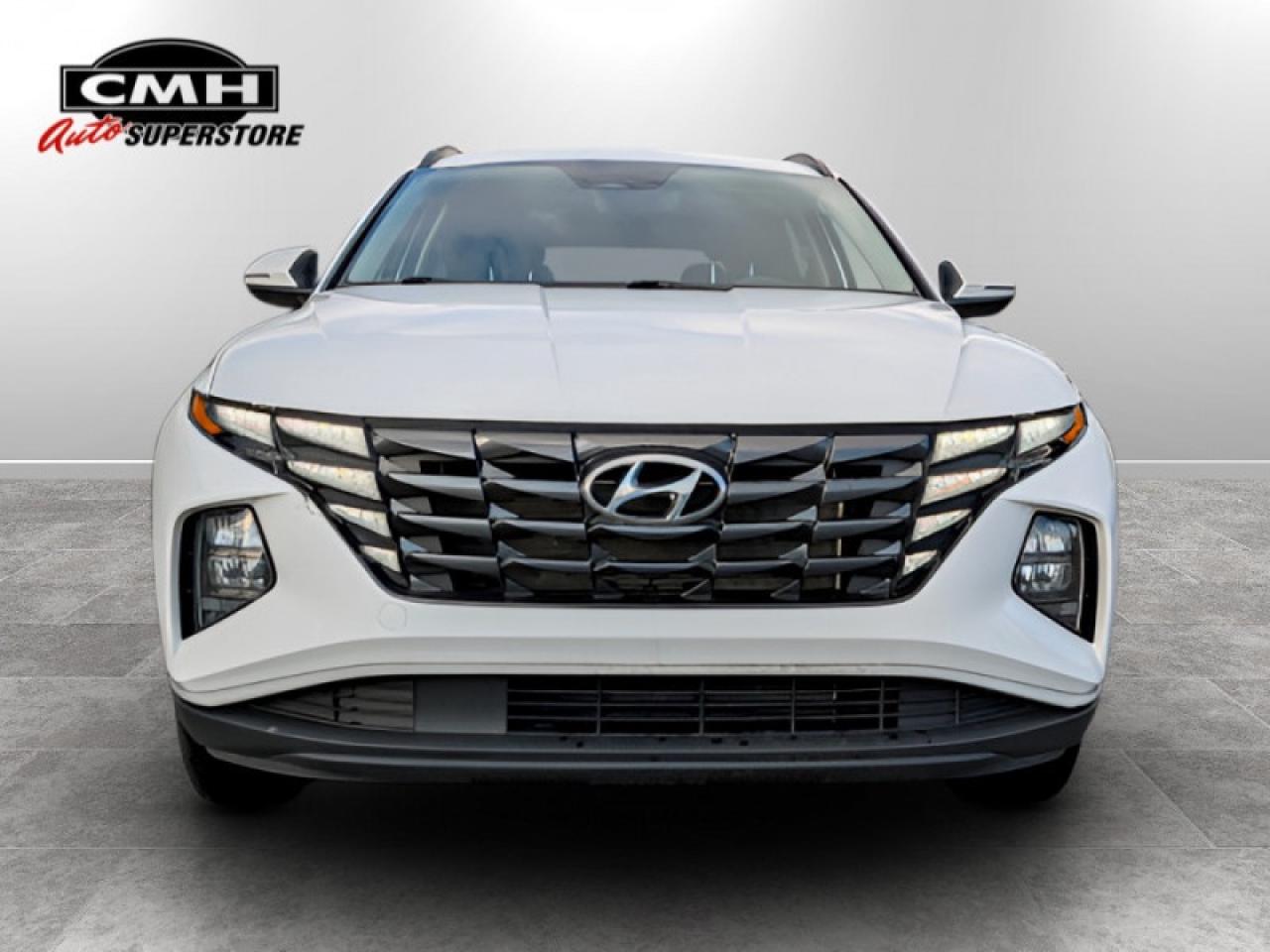 2022 Hyundai Tucson Preferred  **LOW KMS - CLEAN CF** Photo