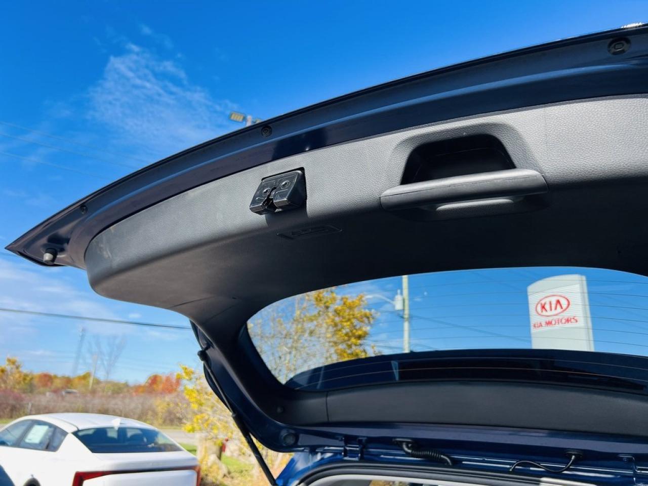 2023 Kia Seltos LX Photo