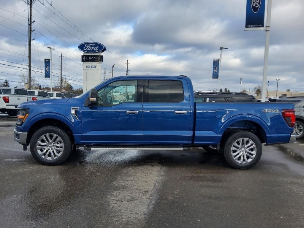2025 Ford F-150 XLT Photo