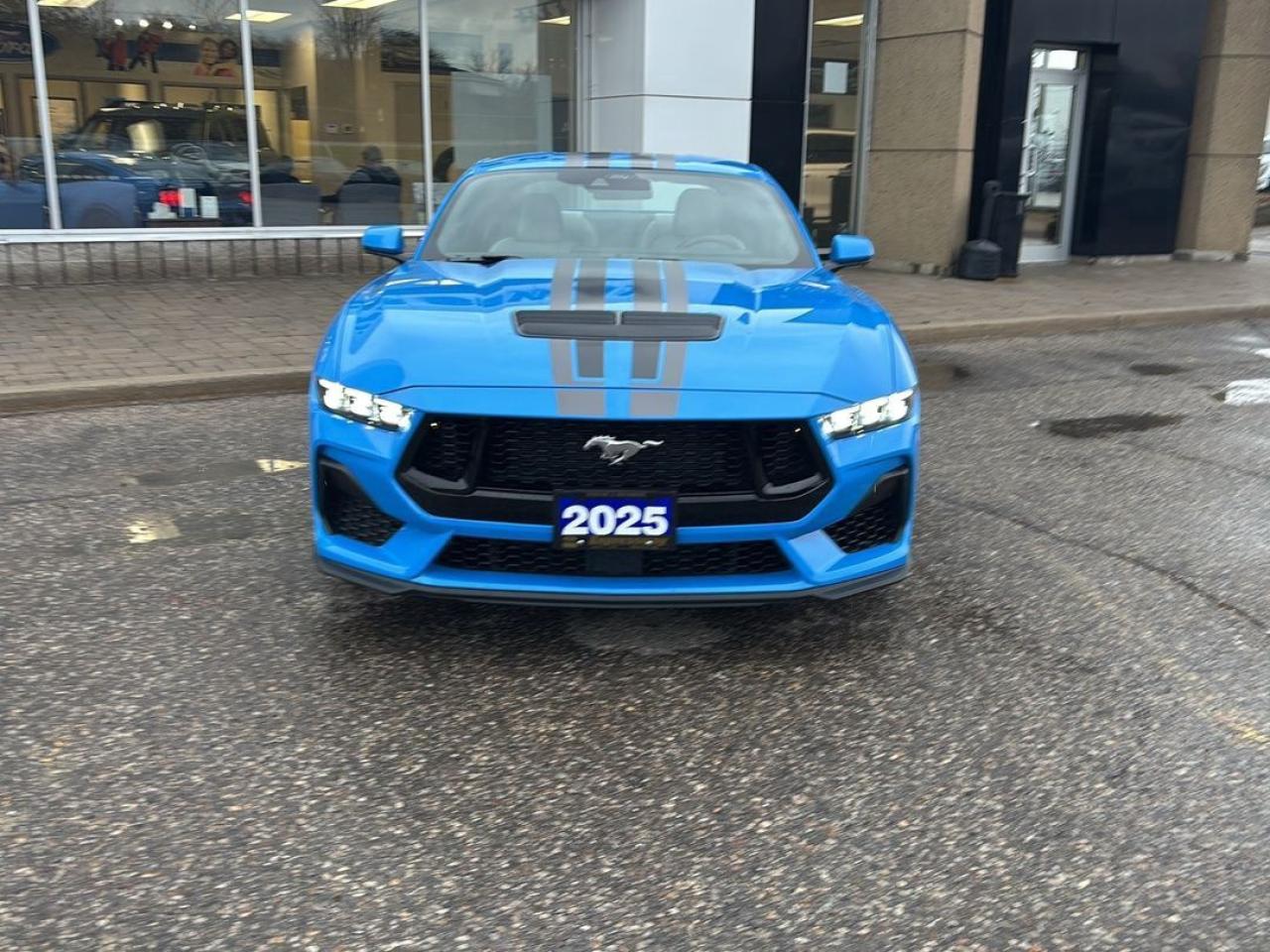 2025 Ford Mustang GT Photo