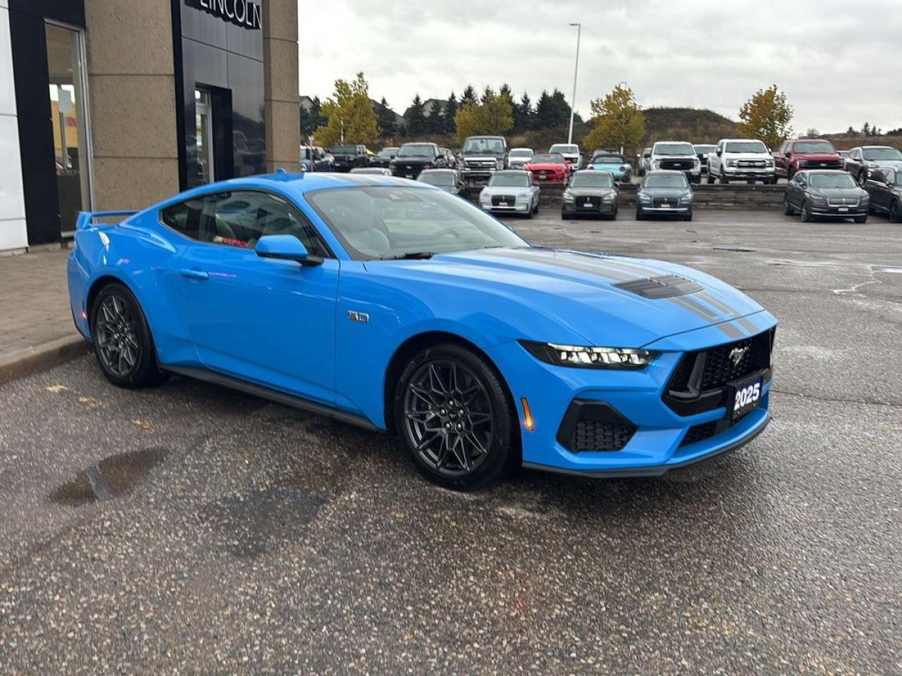 2025 Ford Mustang GT Photo