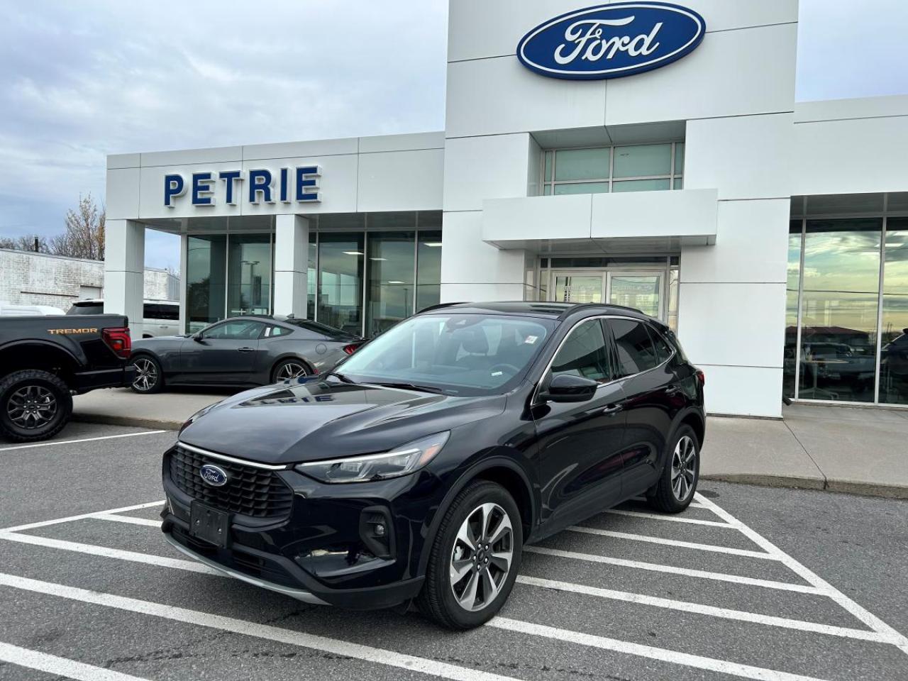 Used 2025 Ford Escape Platinum for sale in Kingston, ON