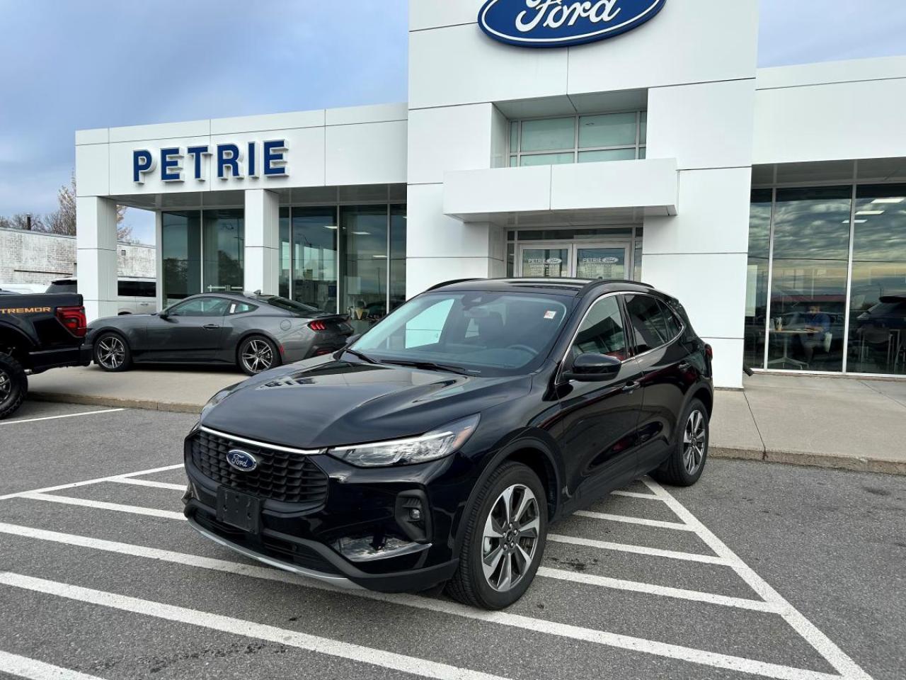 Used 2025 Ford Escape Platinum for sale in Kingston, ON