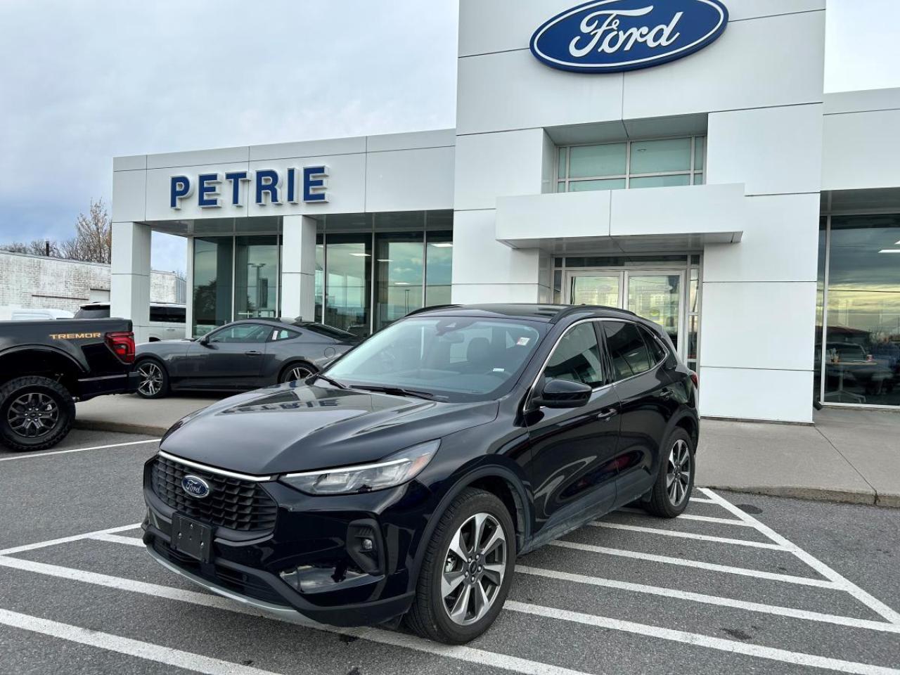 Used 2025 Ford Escape Platinum for sale in Kingston, ON