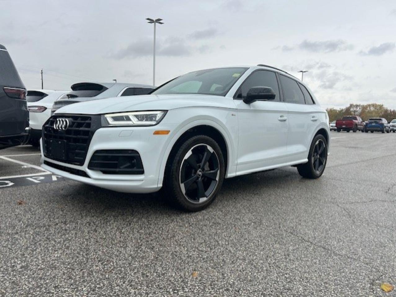 Used 2019 Audi Q5 Technik 45 TFSI quattro for sale in Watford, ON