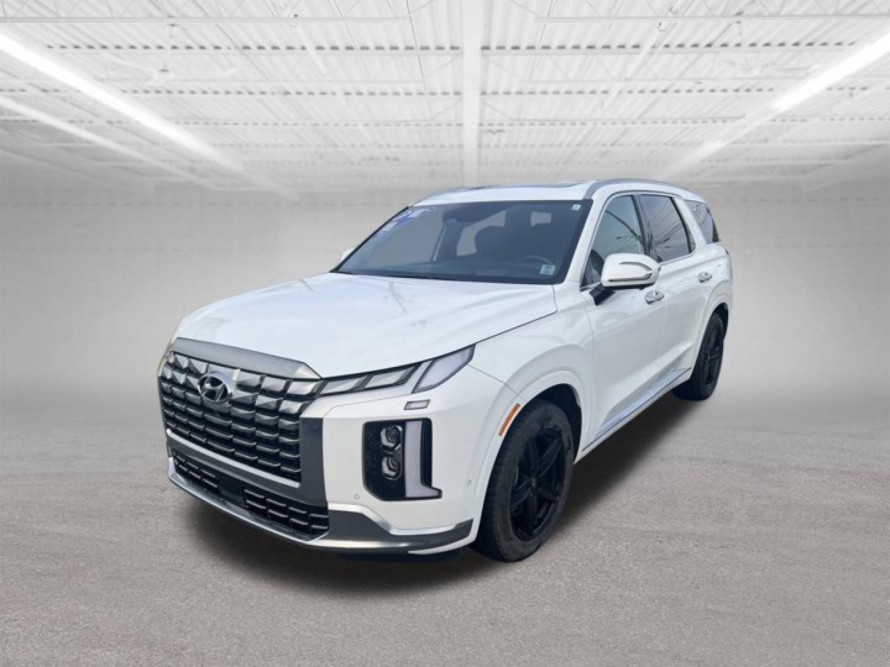 Used 2023 Hyundai PALISADE Ultimate Calligraphy for sale in Halifax, NS