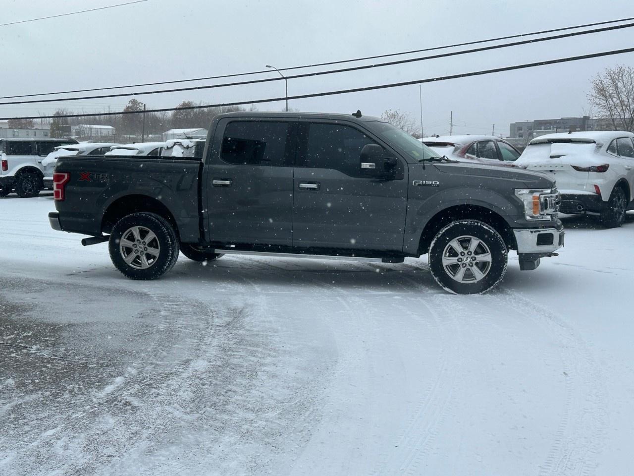 2019 Ford F-150 XLT 4WD SuperCrew 5.5' Box Photo4