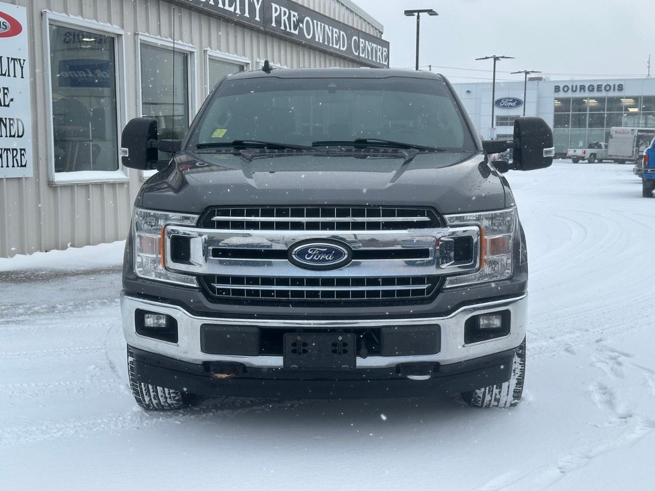 2019 Ford F-150 XLT 4WD SuperCrew 5.5' Box Photo