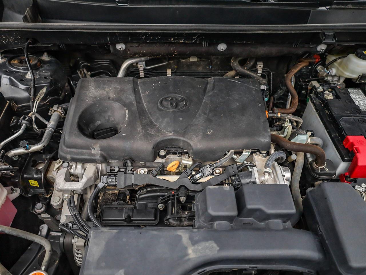 2024 Toyota RAV4 LE Photo