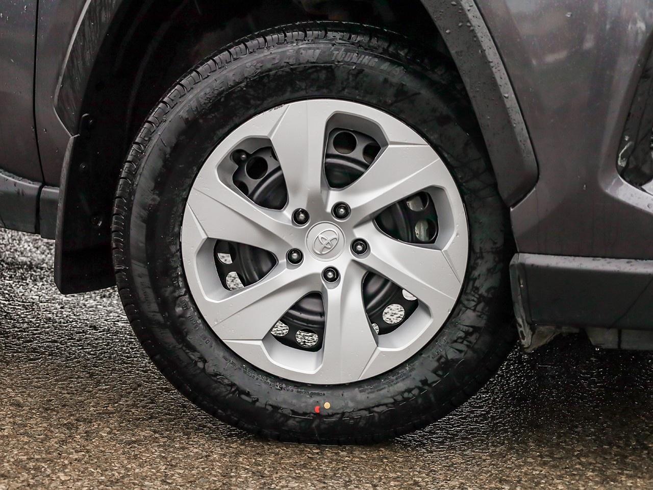 2024 Toyota RAV4 LE Photo